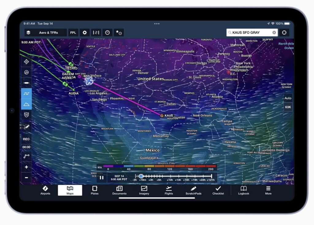 iPad mini フライト